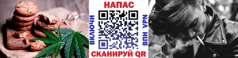 Canna-Cookies марихуана  Рубцовск 