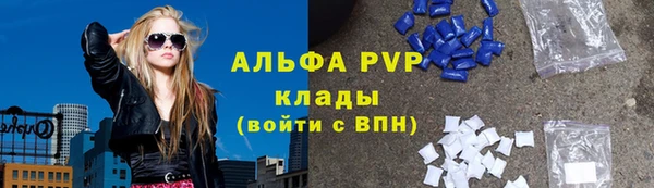 гашик Заволжье