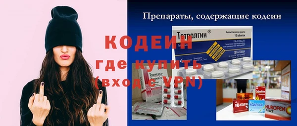 индика Заводоуковск