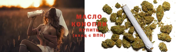 индика Заводоуковск
