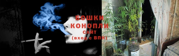 гашик Заволжье