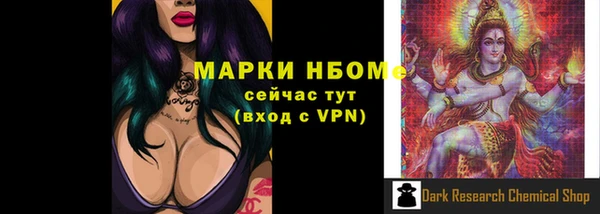 индика Заводоуковск