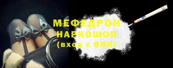 индика Заводоуковск
