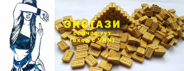 индика Заводоуковск